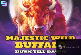 Majestic Wild Buffalo - Dusk Till Dawn